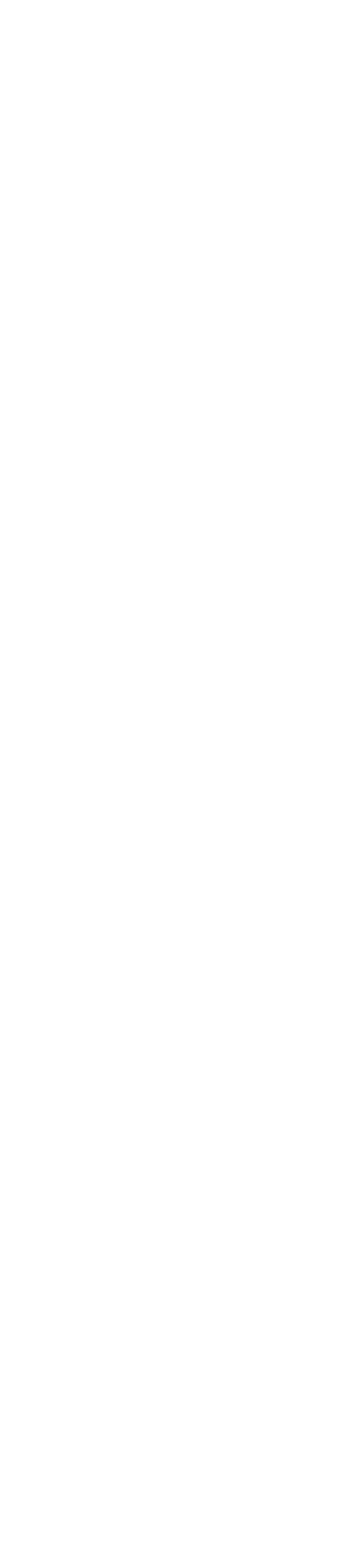 飾り文字:DX Solution